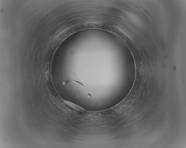 X0000075841015200609221659