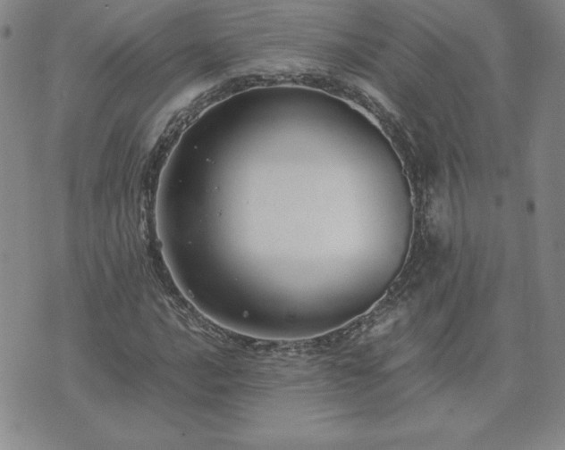 X0000075841016200609221659