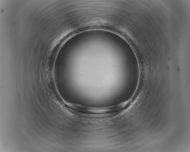 X0000075841018200609221659