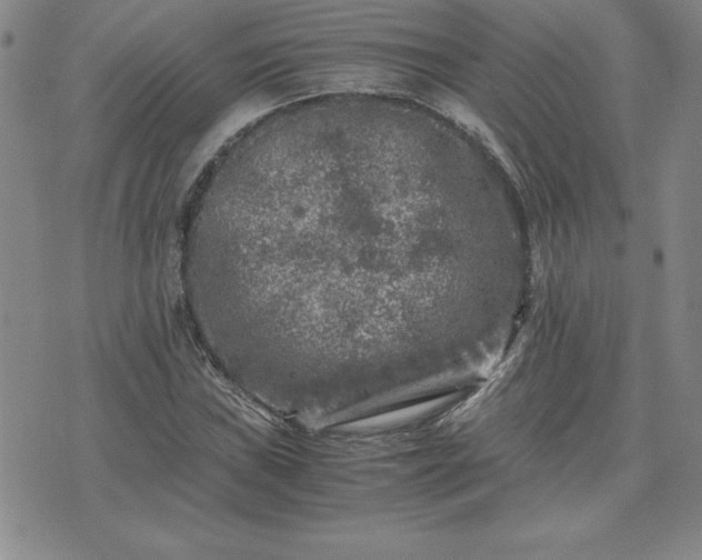 X0000075841019200609221700