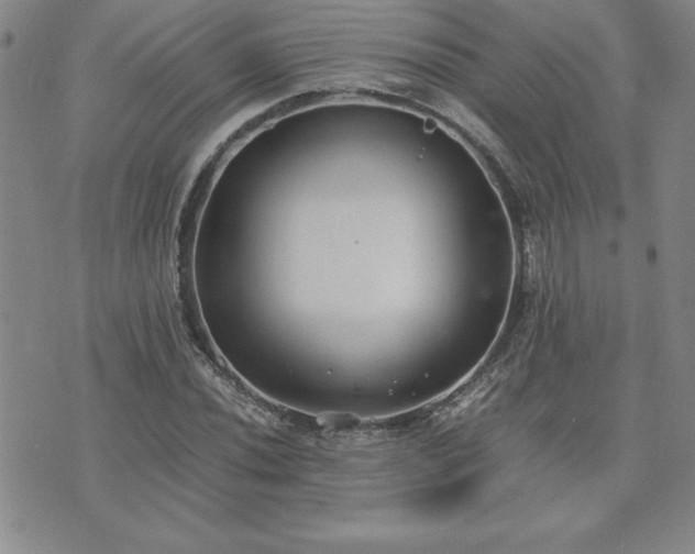 X0000075841020200609221700