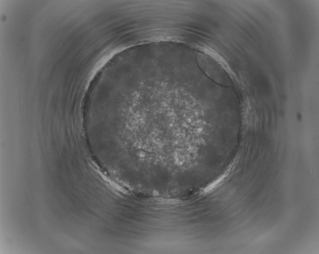 X0000075841023200609221700