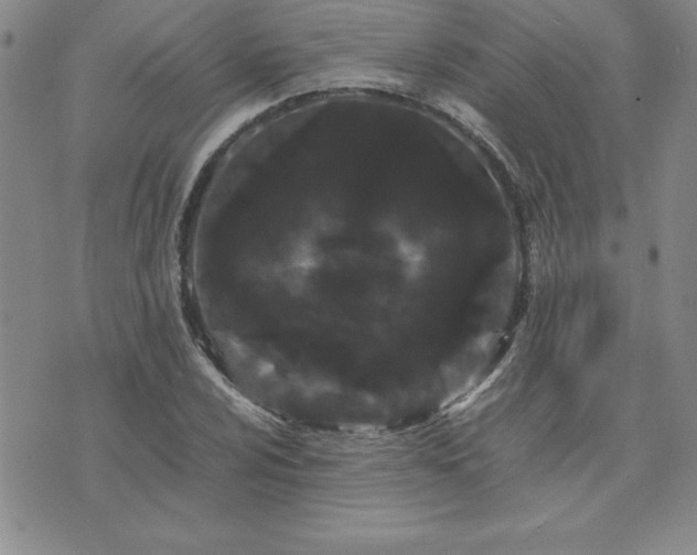 X0000075841024200609221700