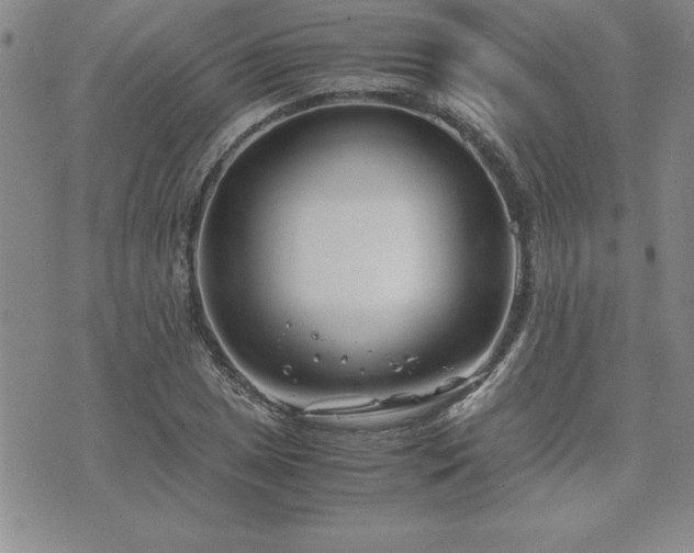 X0000075841025200609221700