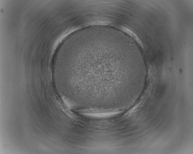 X0000075841027200609221700