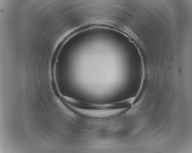 X0000075841028200609221700