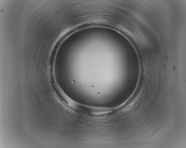 X0000075841029200609221700