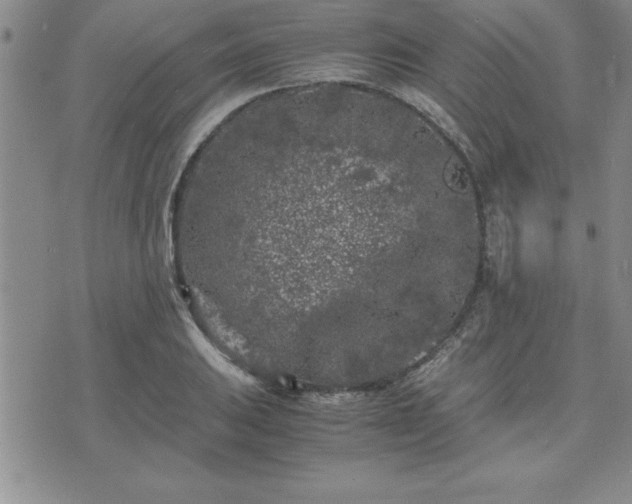 X0000075841031200609221700