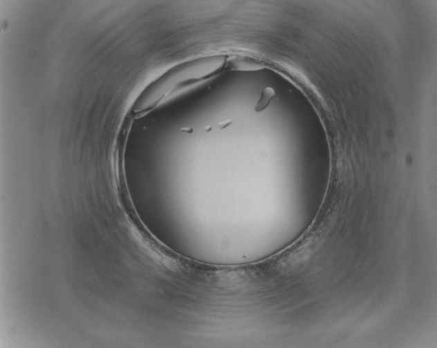 X0000075841032200609221700