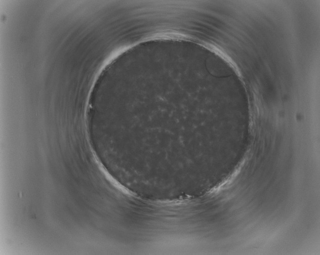 X0000075841037200609221700