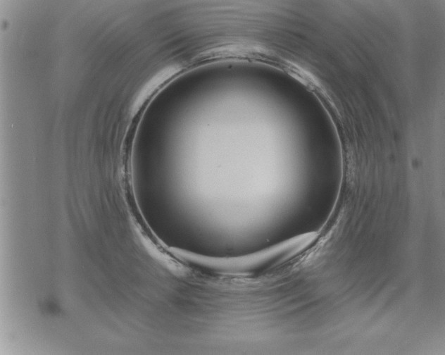 X0000075841042200609221700