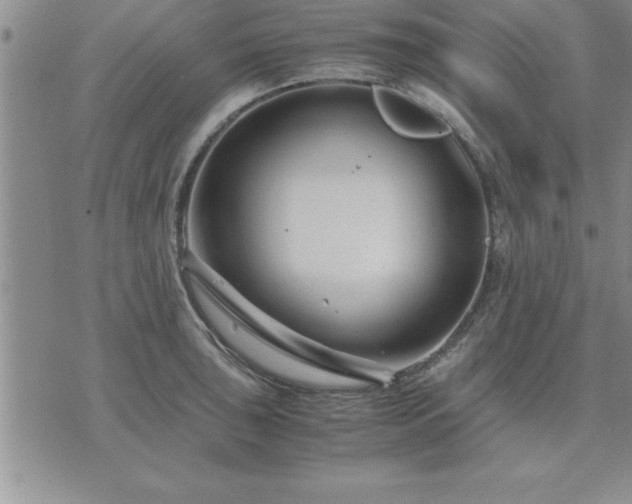 X0000075841043200609221700