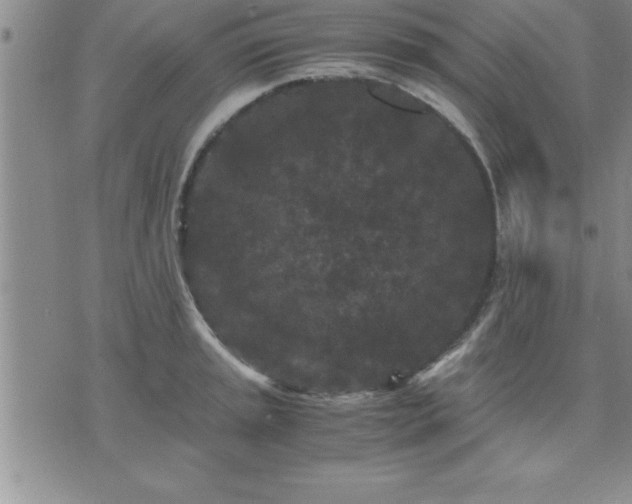 X0000075841045200609221700