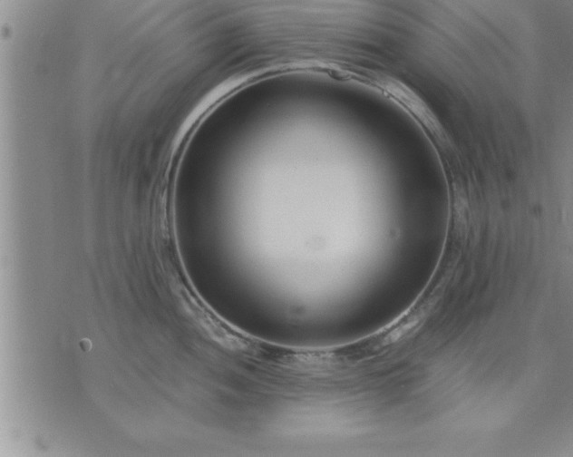 X0000075841052200609221700