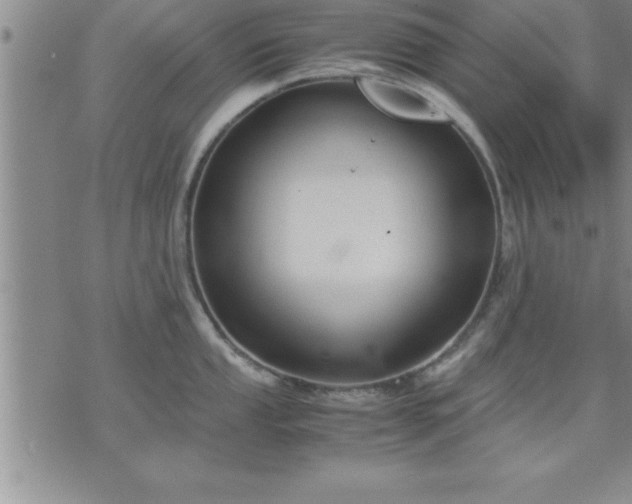 X0000075841053200609221700