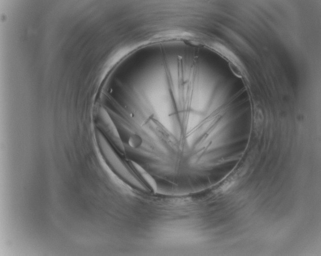 X0000075841055200609221700