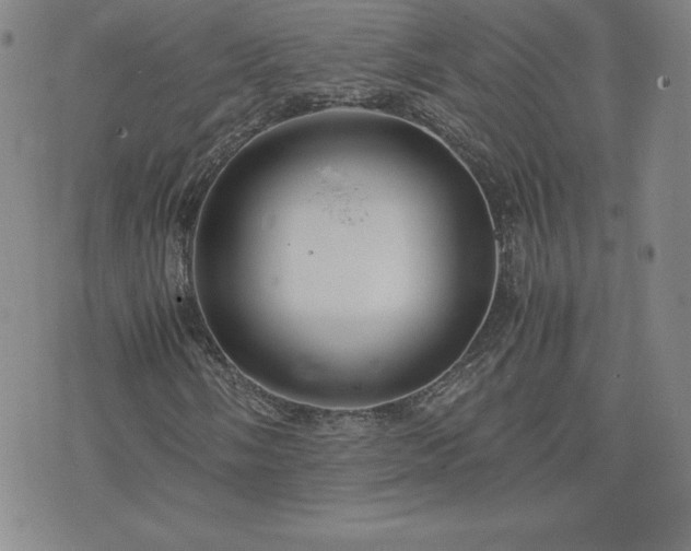 X0000075841058200609221659