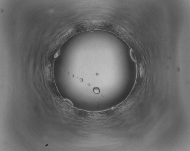 X0000075841059200609221659