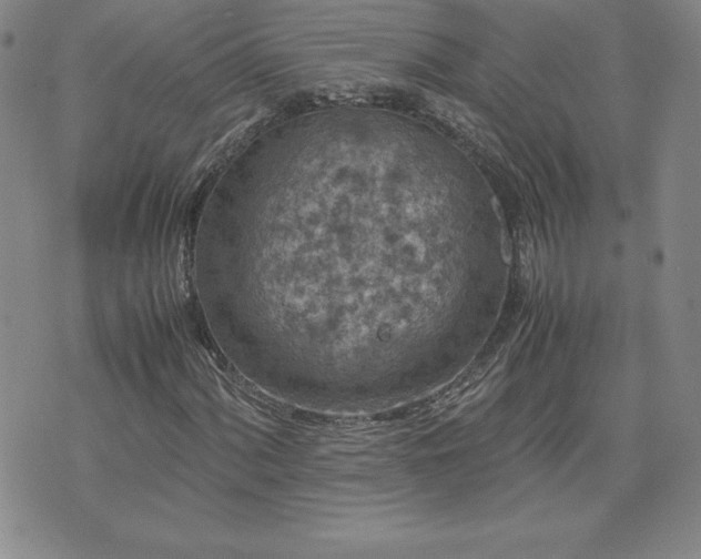 X0000075841060200609221659