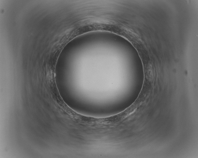 X0000075841061200609221659