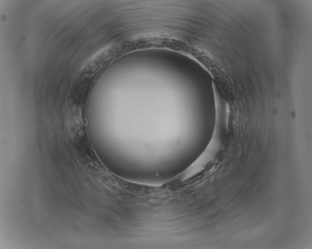 X0000075841062200609221659