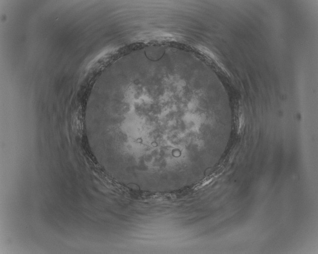 X0000075841063200609221659