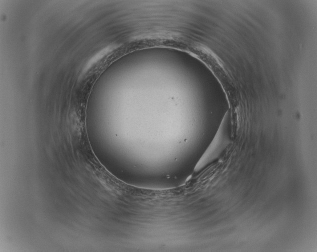 X0000075841064200609221659