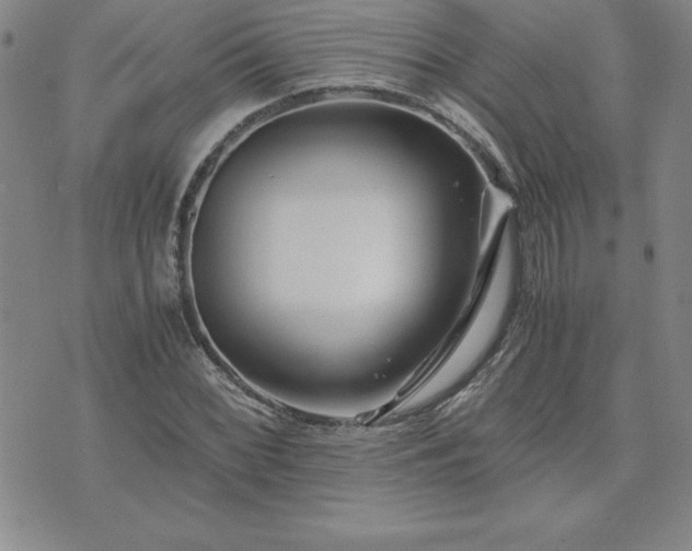 X0000075841068200609221659