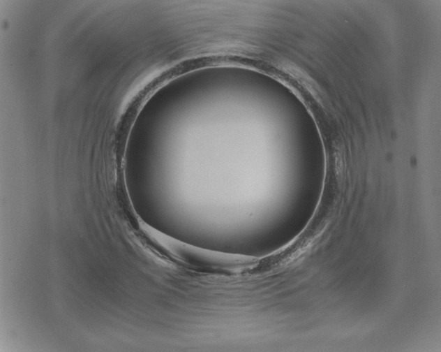 X0000075841069200609221659