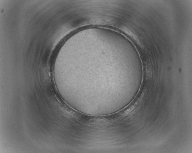 X0000075841070200609221659