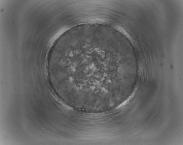 X0000075841071200609221659