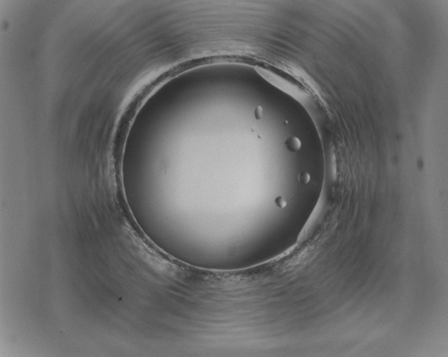 X0000075841072200609221659