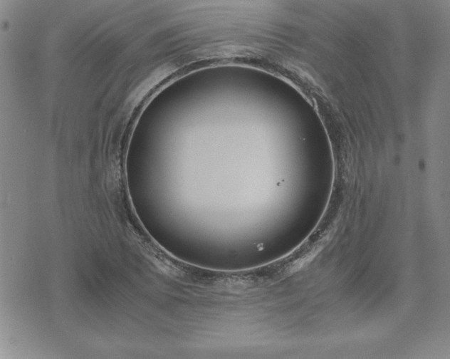 X0000075841073200609221659