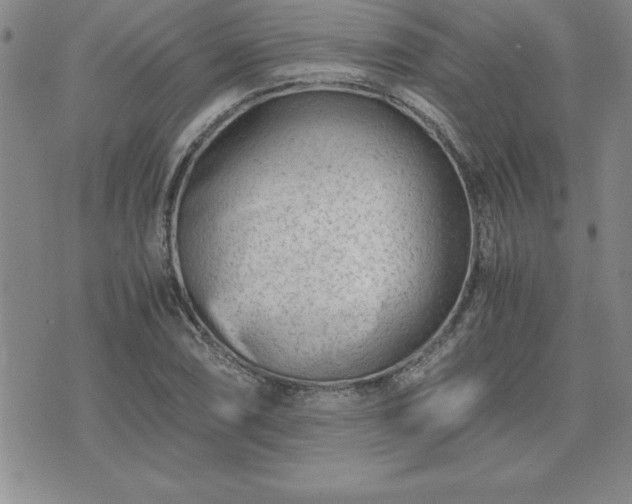 X0000075841074200609221659