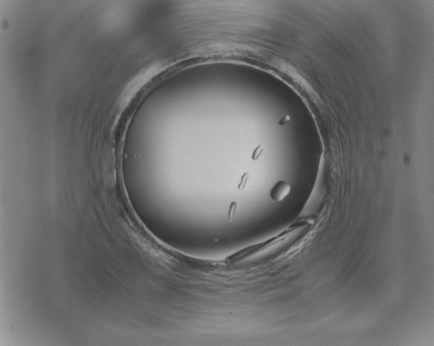 X0000075841075200609221659