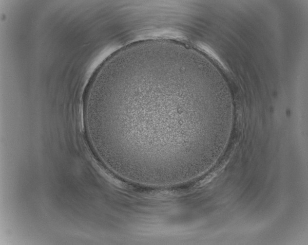 X0000075841079200609221659