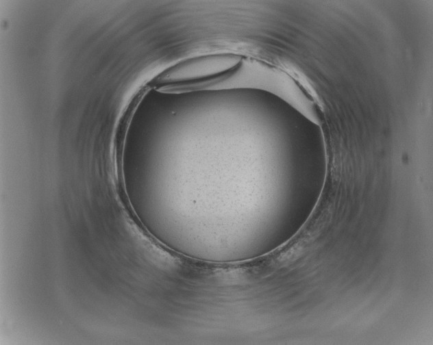 X0000075841080200609221659