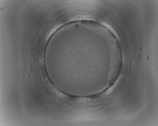 X0000075841081200609221659