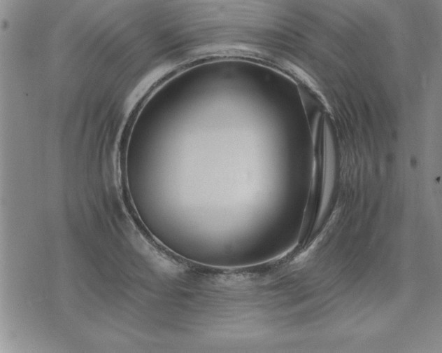 X0000075841082200609221659