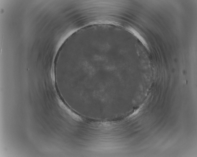 X0000075841084200609221659