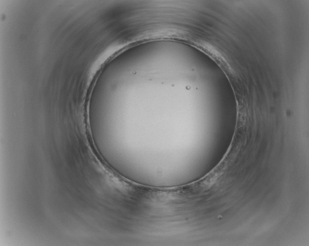 X0000075841086200609221659