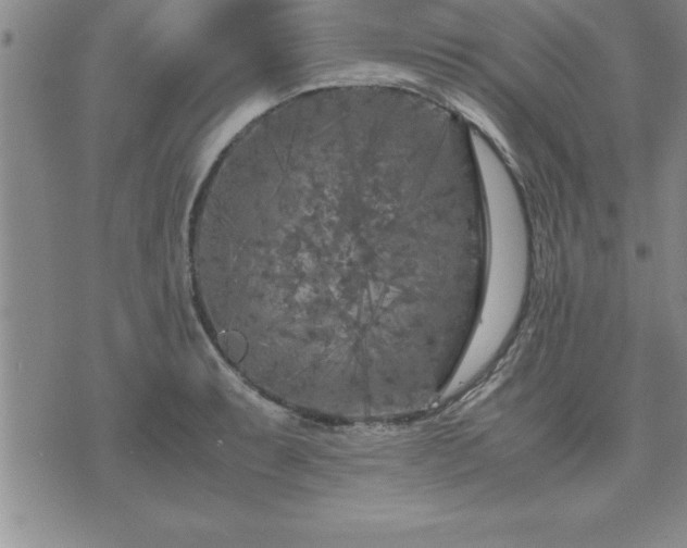 X0000075841087200609221659