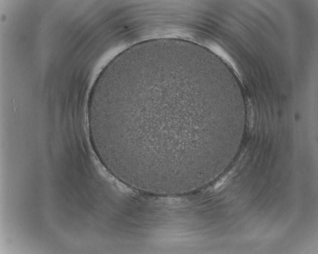 X0000075841088200609221659