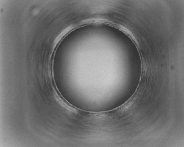 X0000075841090200609221659