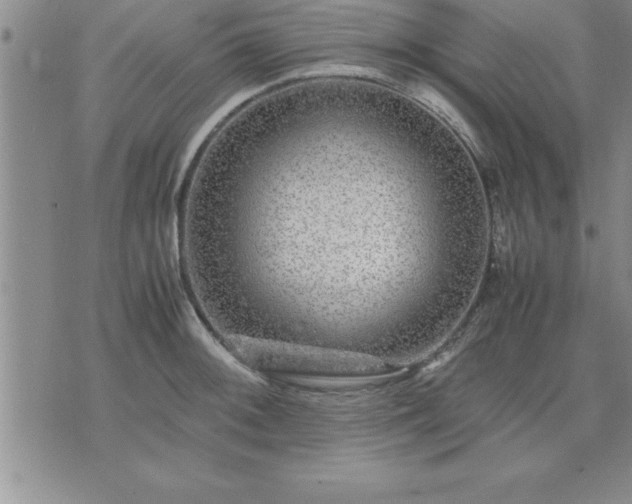 X0000075841092200609221659