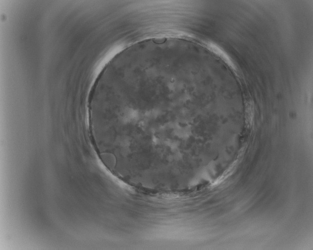 X0000075841095200609221659