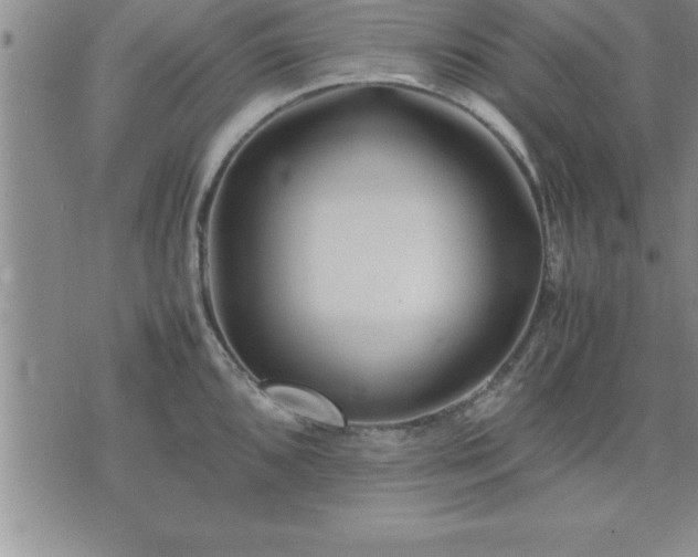 X0000075841096200609221659