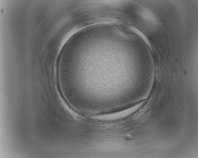 X0000075841099200609221659