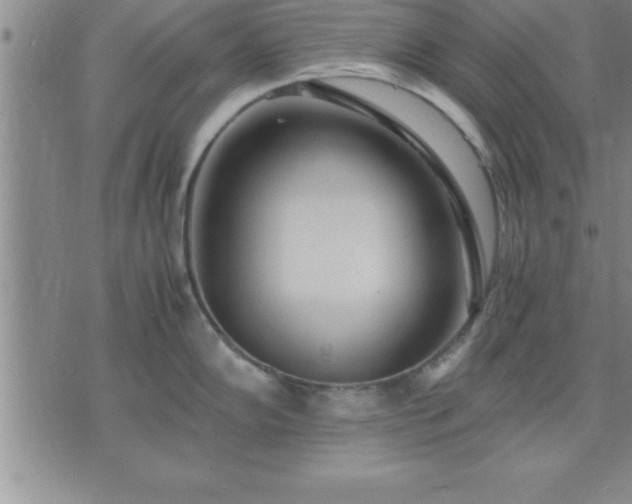 X0000075841102200609221659