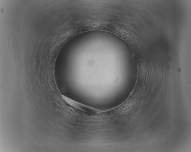 X0000075841105200609221658